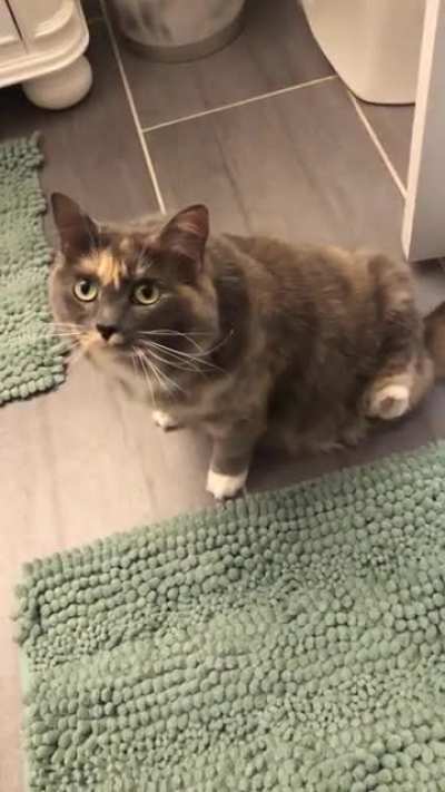 To scratch ears without back paws