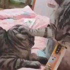 "Wait...."