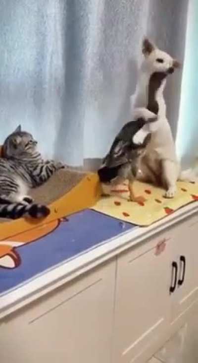 Maybe Maybe Maybe