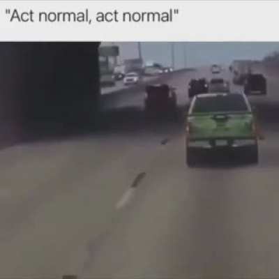 Act normal, act normal, act normaaaaal.