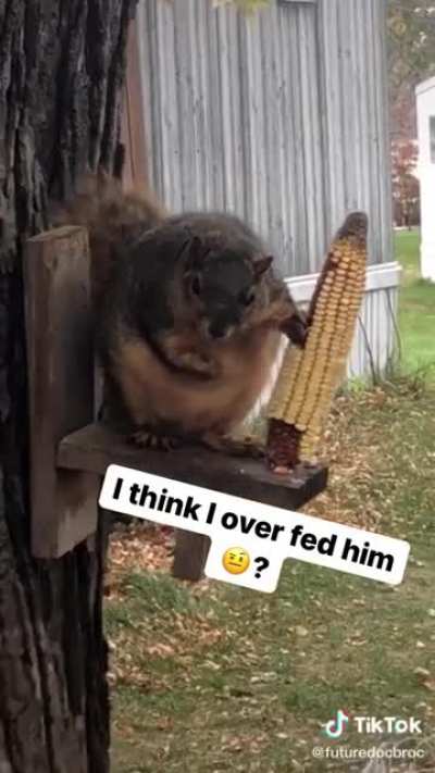 He’s thicc