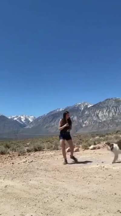 It is amazing how you can teach them almost anything!