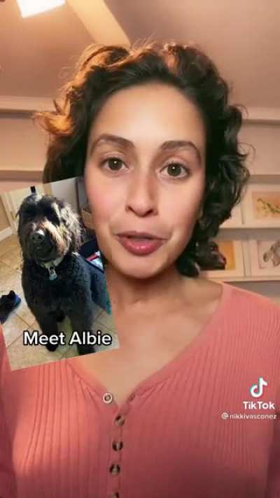 Charging 300 dollars to send a photo of your pet to a person to tell you what they are thinking...