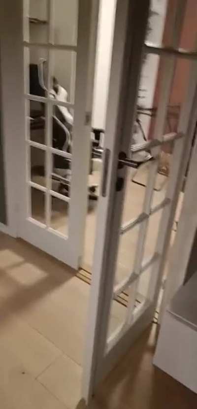 [OC] My puppy's first successful jump on the sofa