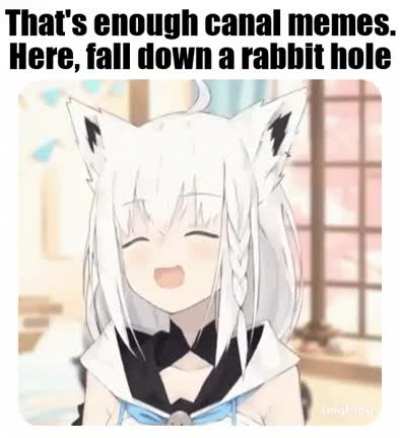 This is Fubuki from Hololive, she will be your friend.