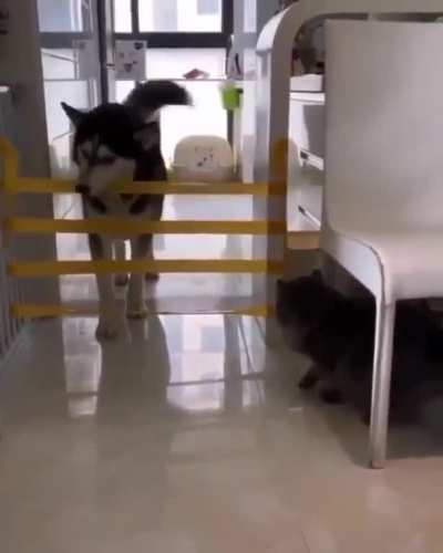 Maybe maybe maybe