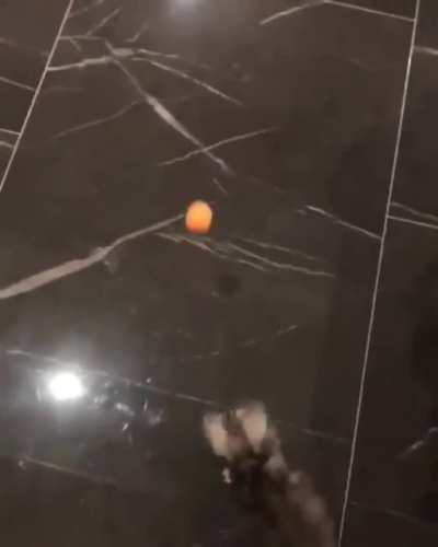 to catch it