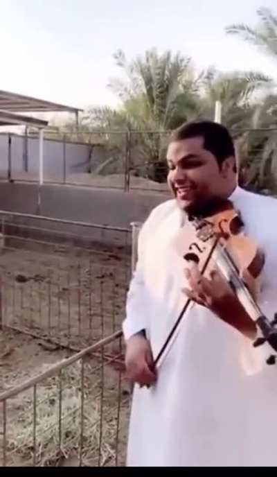 Mozart would be proud