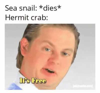 Yeah it's absolutely free