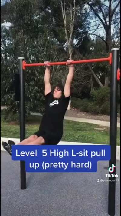 PULL UPS from level 0-10 (What's your level at?)