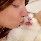 Cat.exe has stopped working ?