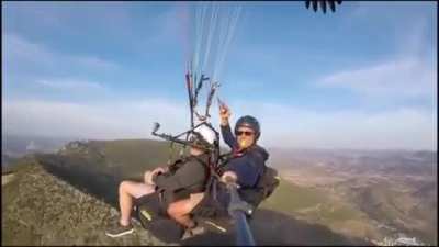 ? Vulture hitches a ride on a selfie stick ?