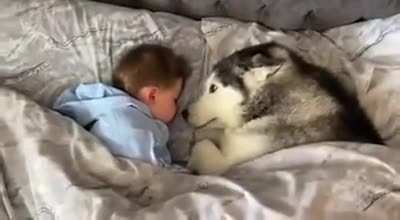 Doggo refuses to leave bed, then proceeds to fall asleep while looking after the baby ???