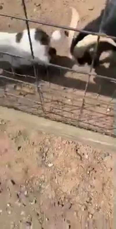 Sound on :)