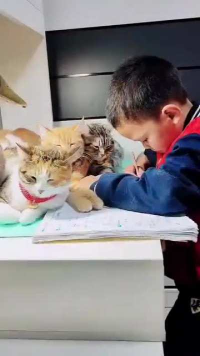 This kid is living his best life