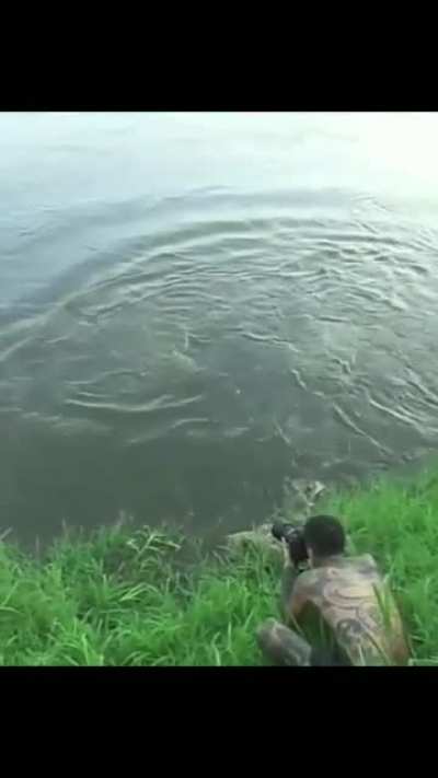 Up close and personal with the croccodiles.