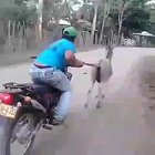 WTF