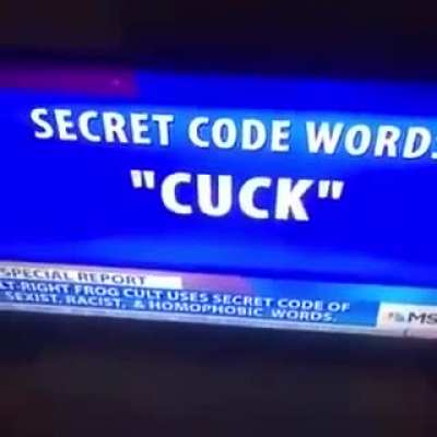 ALT-RIGHT FROG CULT USES SECRET CODE OF SEXIST, RACIST, &amp; HOMOPHOBIC WORDS