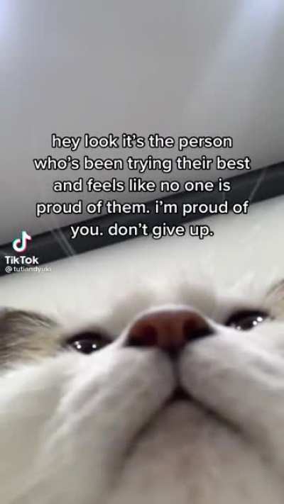 I'm proud of you ?