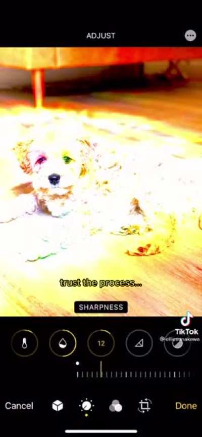 You guys can thank me later