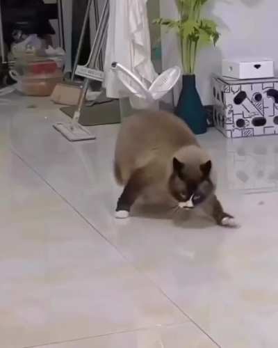 Run Barry Run!!!