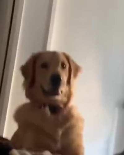WAKE UP AND FEED ME