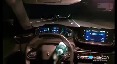 2 guys from Romania abusing the autopilot system