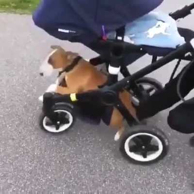 “If this mini human isn’t walking, neither am I”... ?