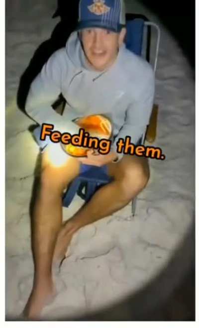They need to be fed??