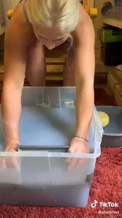 I remember doing this in fifth grade.