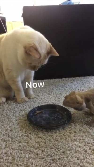 It's you bro...