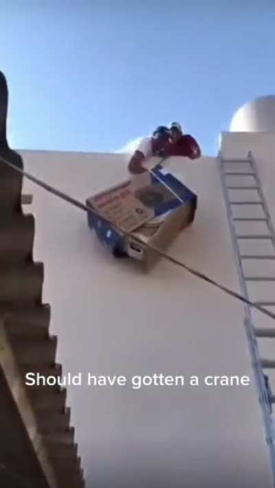 Stupidity ???
