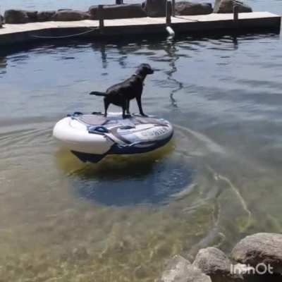 "Don't worry dad I'll save you!"
