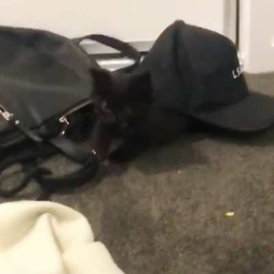 Why is that hat moving?
