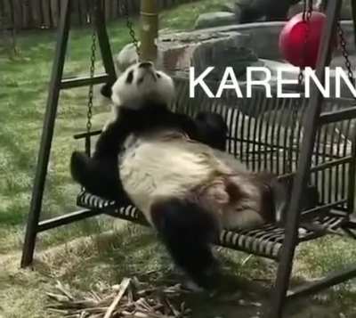 For the panda fans out there