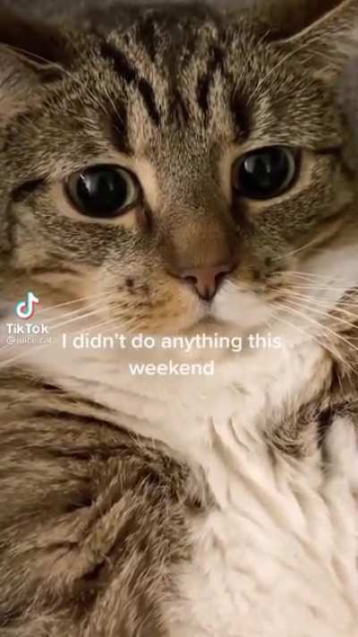 Why do weekends go by so fast ?