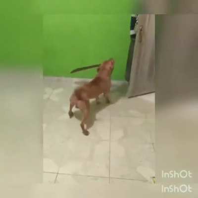 Maybe maybe maybe