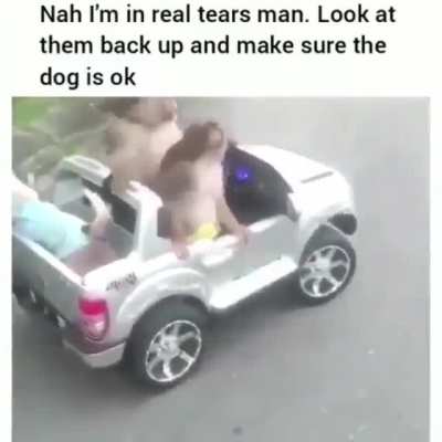 Ape Driving Accident
