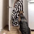 Magic