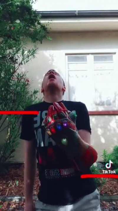 The nut stone?