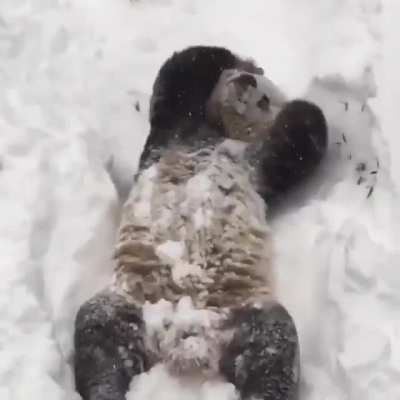 Panda’s happiness ?❤️