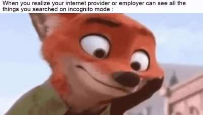 Incognito doesn't make everything private