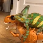 Onward noble steed, there's fuckery afoot!