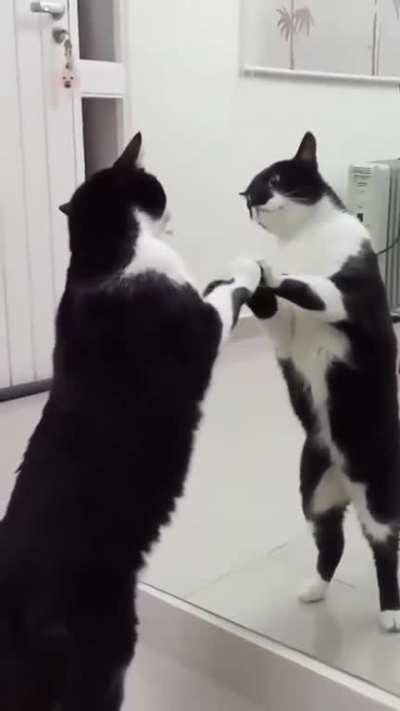 Maybe Maybe Maybe