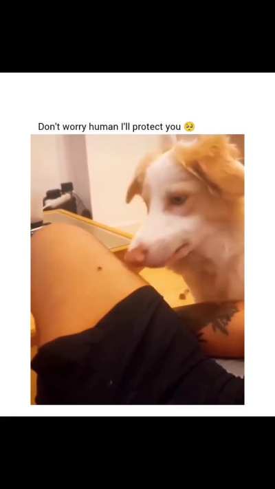 Sorry human fly is too fast ?