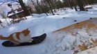 Teddy's First Full Length Skate Spot.