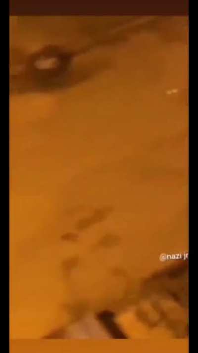 to catch him