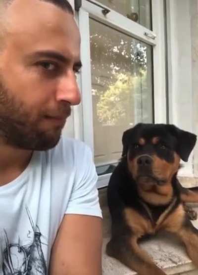 This dog Reaction killed me ?
