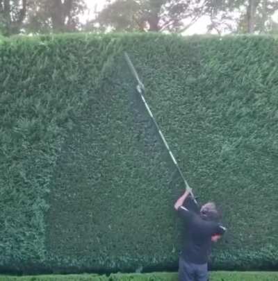 Nothing better than a good bush trim