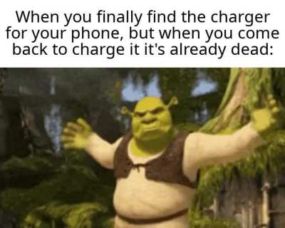 why couldn't it stay alive for a little longer...
